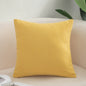 Cushion sofa cushion color cushion living room modern simple cushion cover (Without Core)