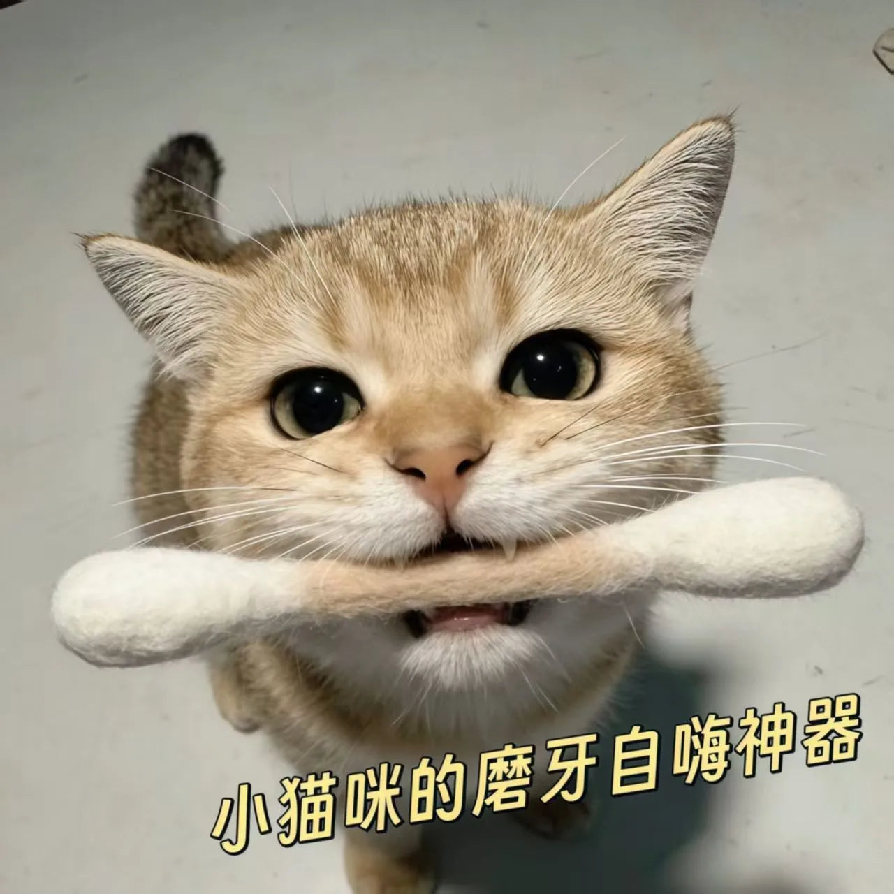 6Pcs Creative Cat Toys Cotton Swab Shaped Catnip Toy Giant Kitten Grinding Biting Stick Teething Cleaning Chew Toys Pet Supplies