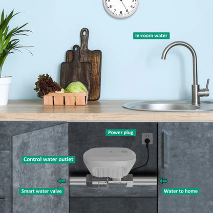Zigbee Or WiFi Tuya Smart Water Valve Water Meter Water Flow Rate Consumption Temperature Display Smart Life Control Irrigation