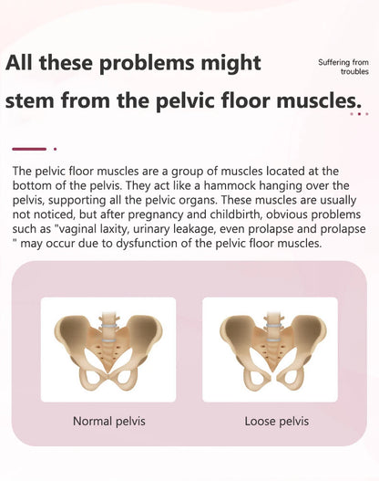 Pelvic Muscle Electrical Trainer Pelvic Muscle Electrical Trainer Kegel Exerciser Incontinence Therapy For Women