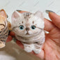 Kitty Taba Squishy Soft Cat Fidget Toy ASMR Cute Animal Squeeze Toy Anti Stress Funny Toys For Children Christmas Party Gift