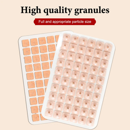 600 Patches Ear Care Red Bianstone Ear Acupuncture Massage Therapy Needle Patch Seeds Sticker Auricular Auriculotherapy Kit