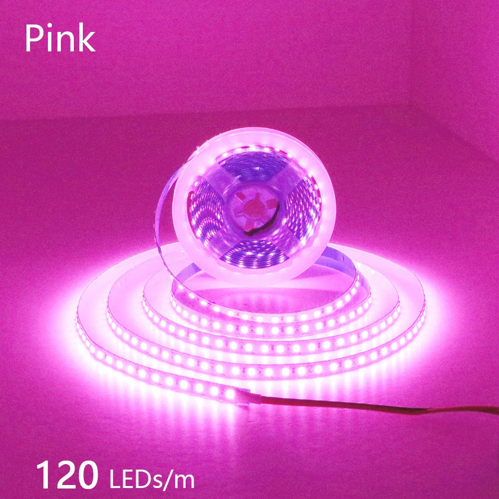 12V 24V LED Strip 2835 120LEDs/m Home Lamp Strip Pink Red Ice Blue Green Golden Yellow Orange Flexible Waterproof Soft Lamp Bar