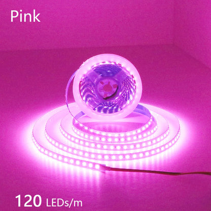 12V 24V LED Strip 2835 120LEDs/m Home Lamp Strip Pink Red Ice Blue Green Golden Yellow Orange Flexible Waterproof Soft Lamp Bar