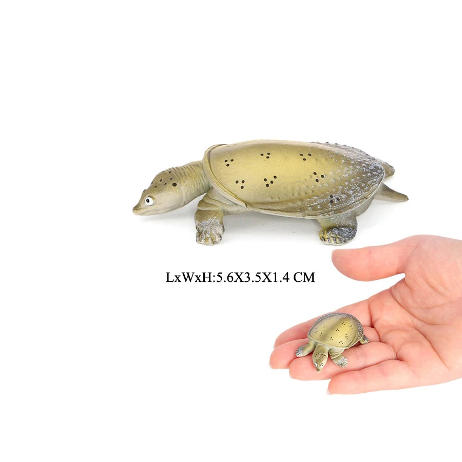 Simulation Chinese Softshell Leatherback Sea Turtle Snapping Turtles Tortoise Ocean Animal Model Education Toy Figures For Kids