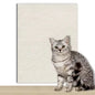 DIYSelf-Adhesive Cat Scratching Mat Trimmable Cat Carpet Cat Scratching Carpet Corner Wall Cat  Scratch Sofa Furniture Protector