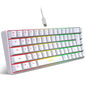 New Portable Wired Mini Mechanical Keyboard K61 Mini Keyboard Wired 61 Keys Phantom RGB,Black White Red Red/Blue Switch
