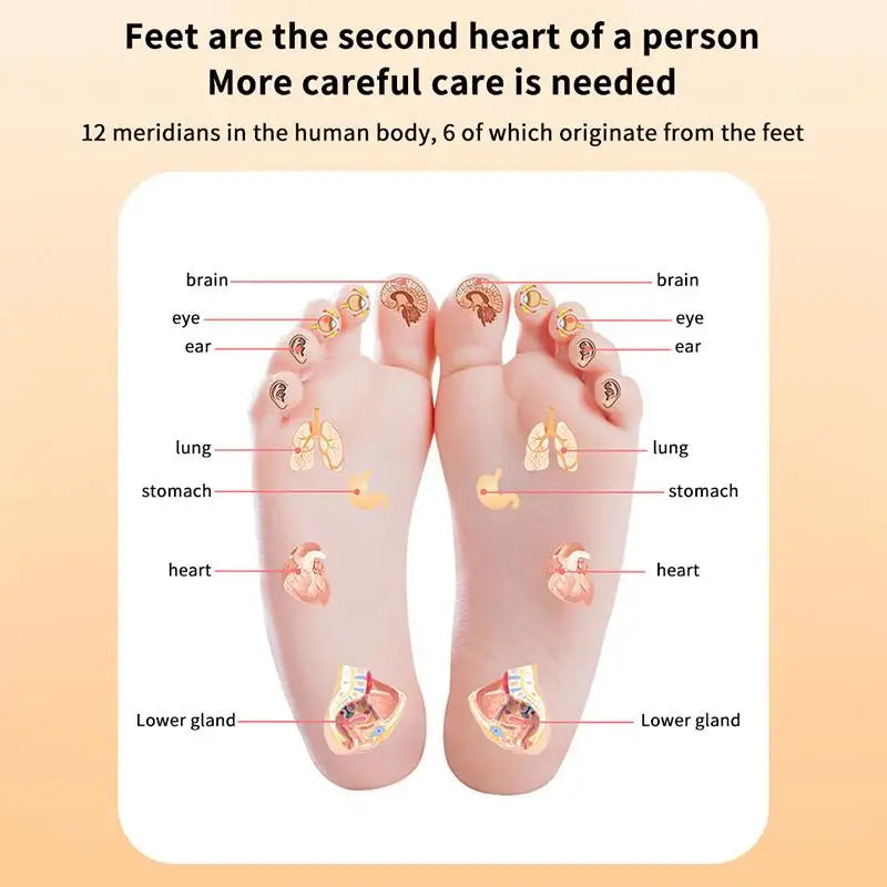 [TG823]Pressure Point Pads Board Foot Massage Acupressure Mat Foot Reflexology Walking Toe Plate Magnetic Acupressure Disc Care