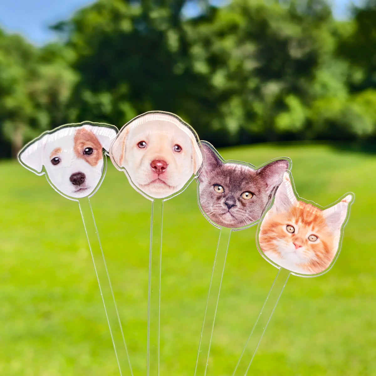 Personalized Cocktail Stirrers Custom Pet Face Drink Stir Wedding Gift Table Decoration Acrylic Party Drink Stirs Party souvenir