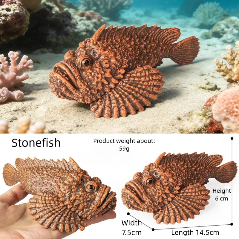 Realistic Marine Animal Figurine Deep Sea Creature Model Ocean Fish Figures Blobfish Collection Kids Toy Boy Girl Gift Ornament