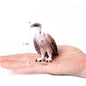 Hand Painted Simulation Bird Model Figures Toucan Peacock Owl Flamingo, Early Cognition Toy Cake Decoration For Children
