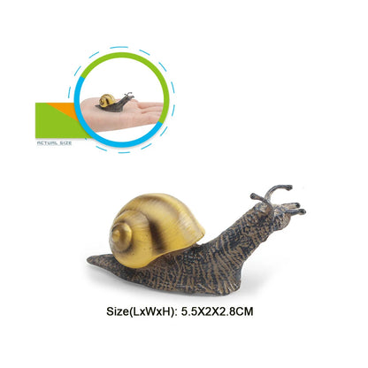 Realistic Life Cycle Of A Snail Model Figure Snail Figurine Party Favors Supplies Cake Toppers Desktop Decoration Collection Toy