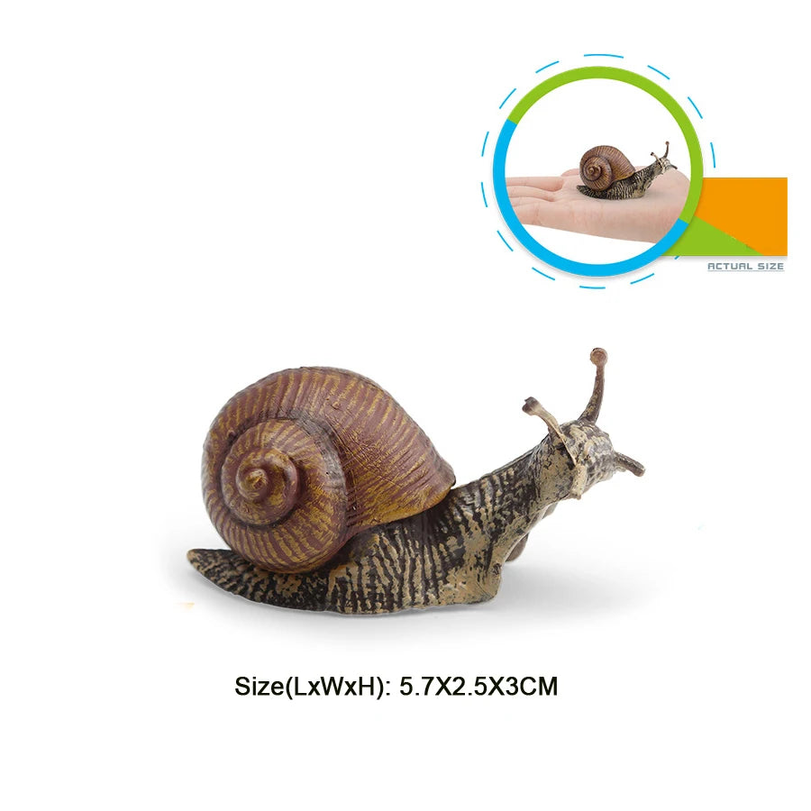 Realistic Life Cycle Of A Snail Model Figure Snail Figurine Party Favors Supplies Cake Toppers Desktop Decoration Collection Toy