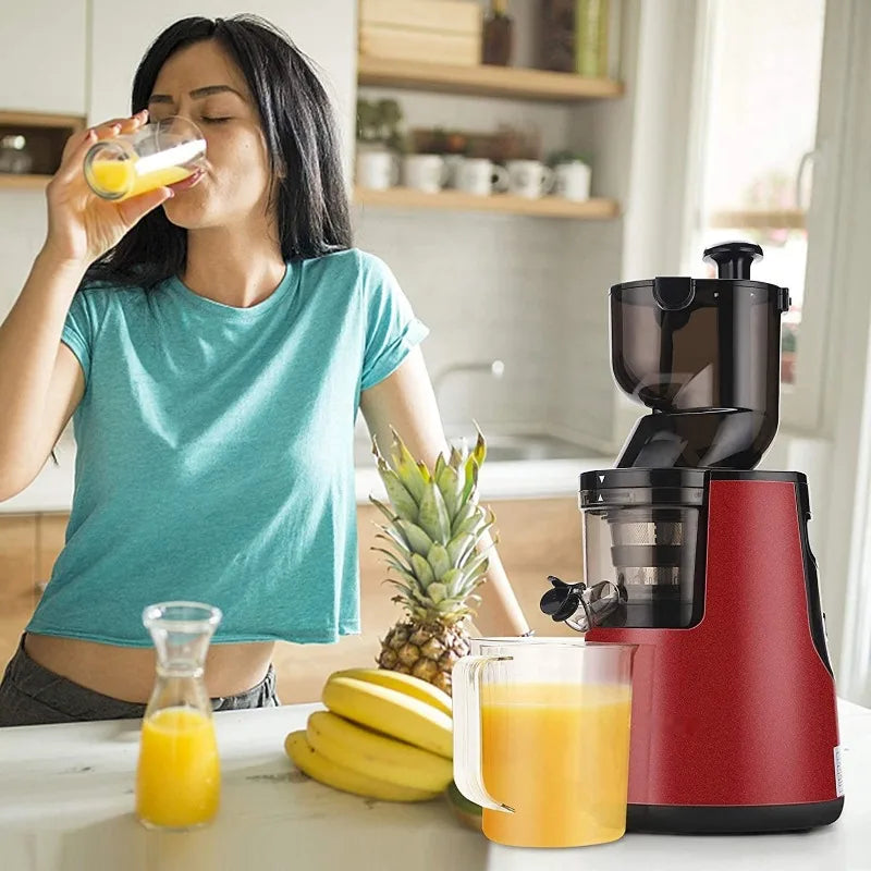 220V Automatic Juice Extractor Home Slag  Separation Ginger Fruit Vegetable Juice Extractor Multifunctional Fruit Slow Juicer