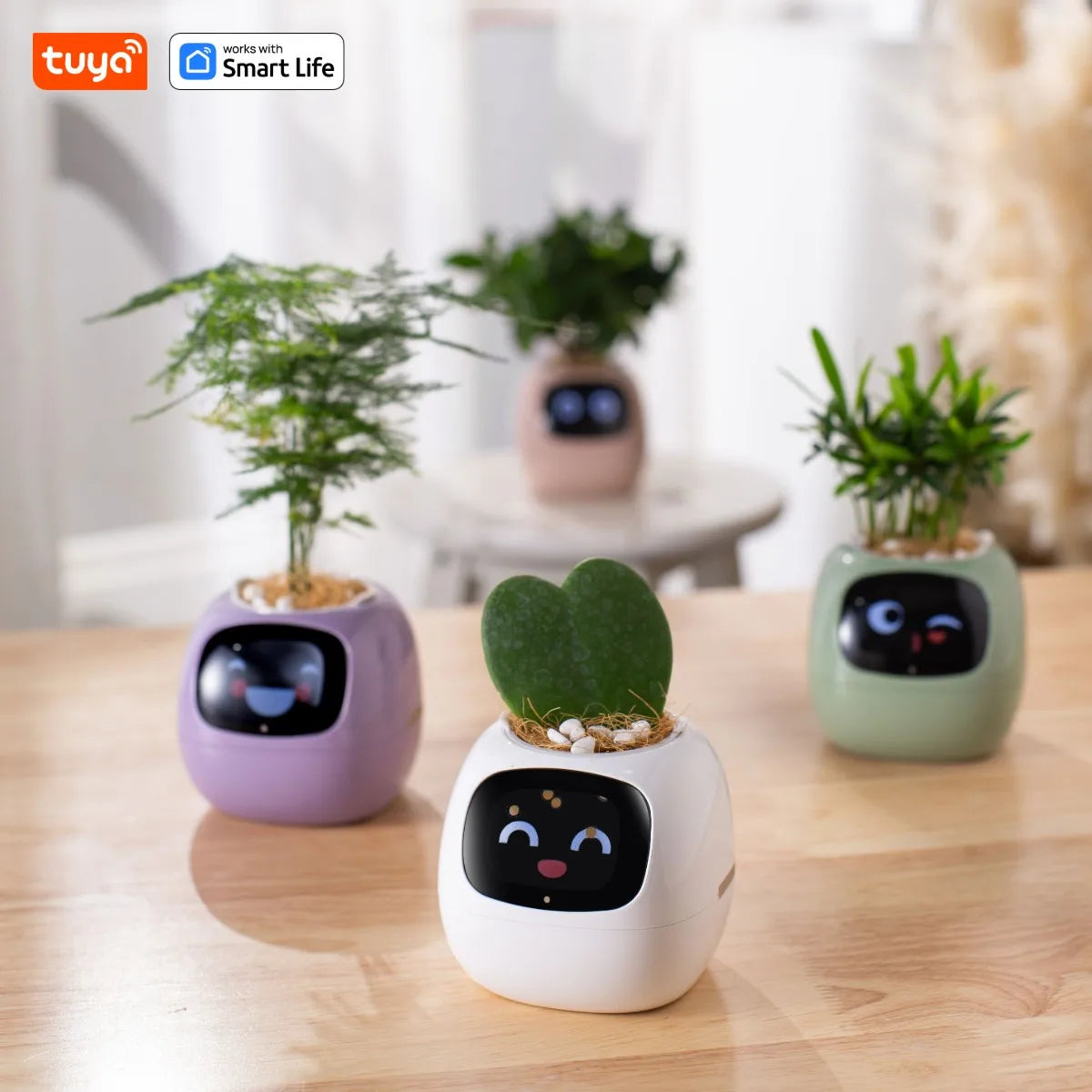 Gen1 Tuya Ivy Smart Planter,Endless Fun Over 49 Rich Expressions,7 smart sensors,AI Chips Make Raising Plants Easy and Fun
