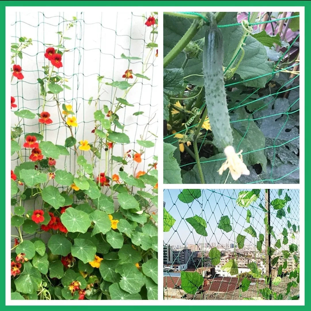 Heavy-Duty Garden Climbing Net – UV-Resistant Nylon Trellis for Cucumber, Loofah & Flowers