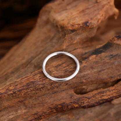 Classical Nose Rings G23 Titanium Anodizing Piercing Body Jewelry Basic Earrings Sexy Septum Piercing Nariz Gifts Safe Piercing