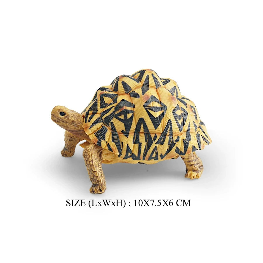 Simulation Chinese Softshell Leatherback Sea Turtle Snapping Turtles Tortoise Ocean Animal Model Education Toy Figures For Kids