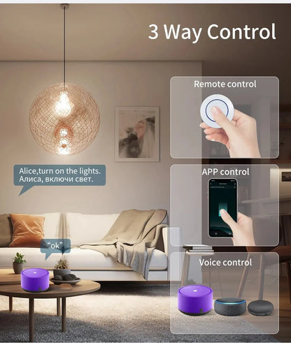 Tuya Smart Wifi Switch RF433Mhz Wireless Light Switch 16A/20A Relay Smart Life App Remote Voice Control With Alexa Google Home