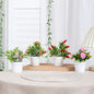 1SET Simulation Plant Potted Plant, Suitable For Commercial Office Counter, Living Room, Study, Courtyard, Home Decoration
