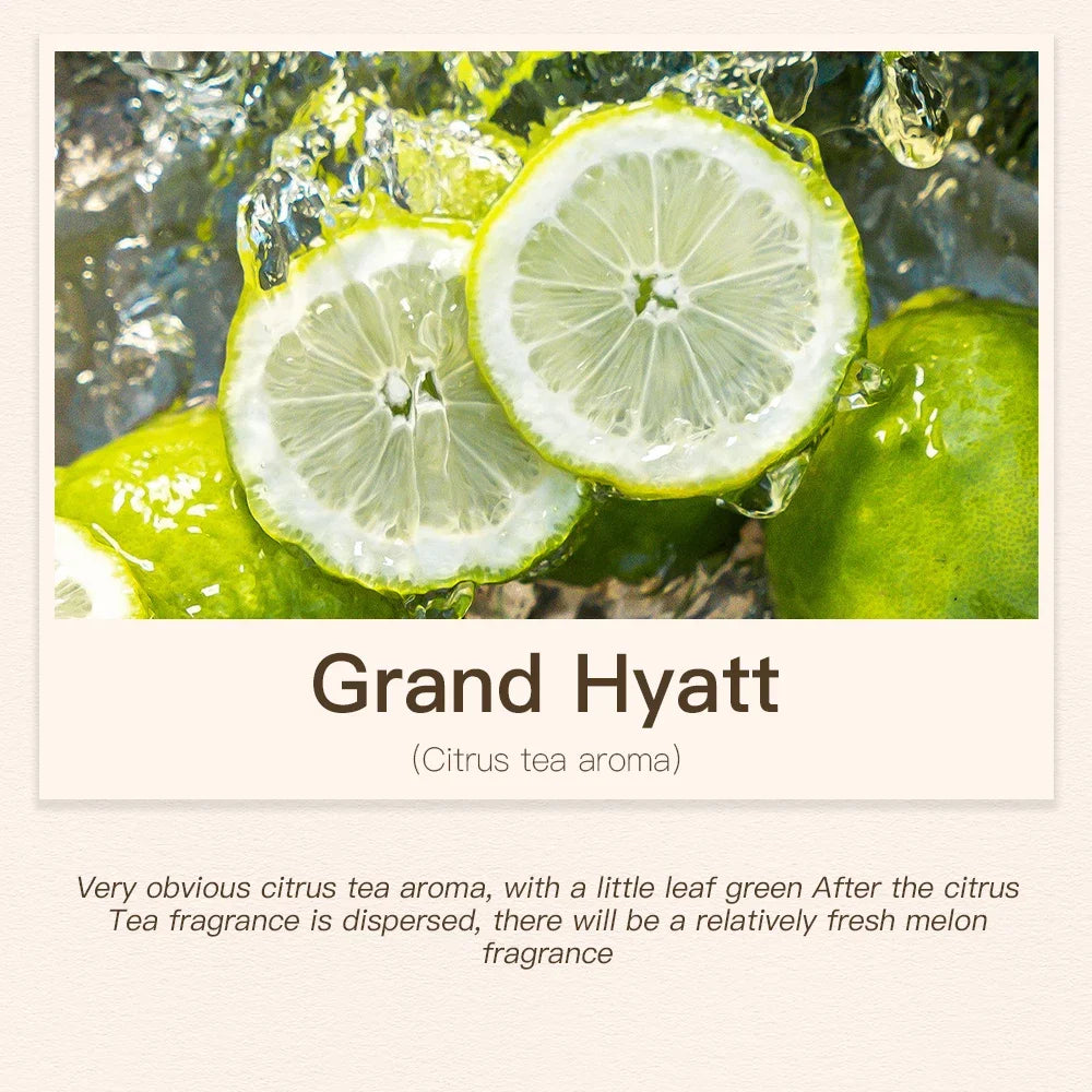 500ML Air Freshener Essential Oil Diffuser Refill Air Purifier for Hotels Electric Aromatic Oasis Humidifier Car Smoke Generator