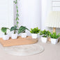 1SET Simulation Plant Potted Plant, Suitable For Commercial Office Counter, Living Room, Study, Courtyard, Home Decoration