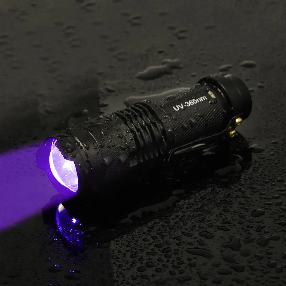 Portable UV Flashlight 365-395nm Black Light Flashlights Ultraviolet Zoomable Torch Pet Urine Stains Fluorescent Agent Detector