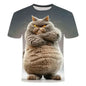 Men T-shirt Outdoor Street Cute Short-sleeved Boy Clothing Summer Top Fun Animal Cat 3D Printed Sports Quick-drying Breathable