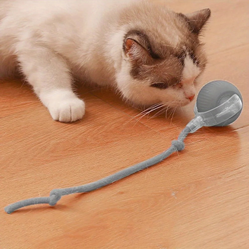 Automatic Interactive Cat Ball Toy Rechargeable Smart Electric Rolling Ball with Faux Tail Mouse Imitation for Dog Cat Training