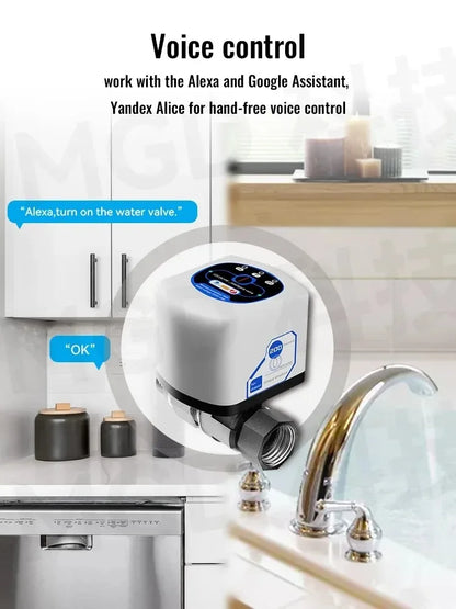 eWelink Zigbee Intelligent Valve DN15/DN20/DN25 App Rmote Control Works With Salutel/Alexa/Alice/Google Assistant/Smart Things