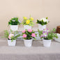 1SET Simulation Plant Potted Plant, Suitable For Commercial Office Counter, Living Room, Study, Courtyard, Home Decoration