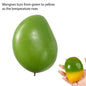 Simulation Flash Dumpling Pressure Ball Slow Rebound Soft Pinch Decompression Squishy Stress Relief Balls with Steamer