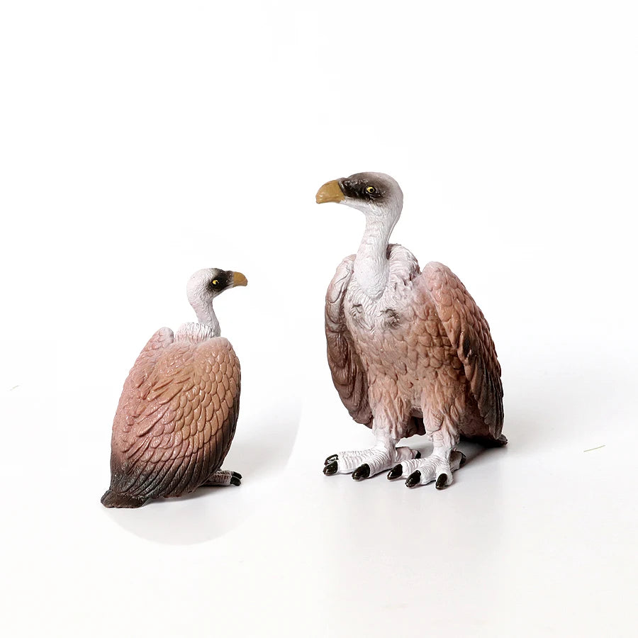 Hand Painted Simulation Bird Model Figures Toucan Peacock Owl Flamingo, Early Cognition Toy Cake Decoration For Children
